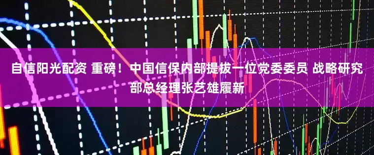 自信阳光配资 重磅！中国信保内部提拔一位党委委员 战略研究部总经理张艺雄履新